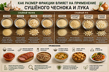 Фракция сушёного чеснока и лука: как выбрать размер для производства и фасовки